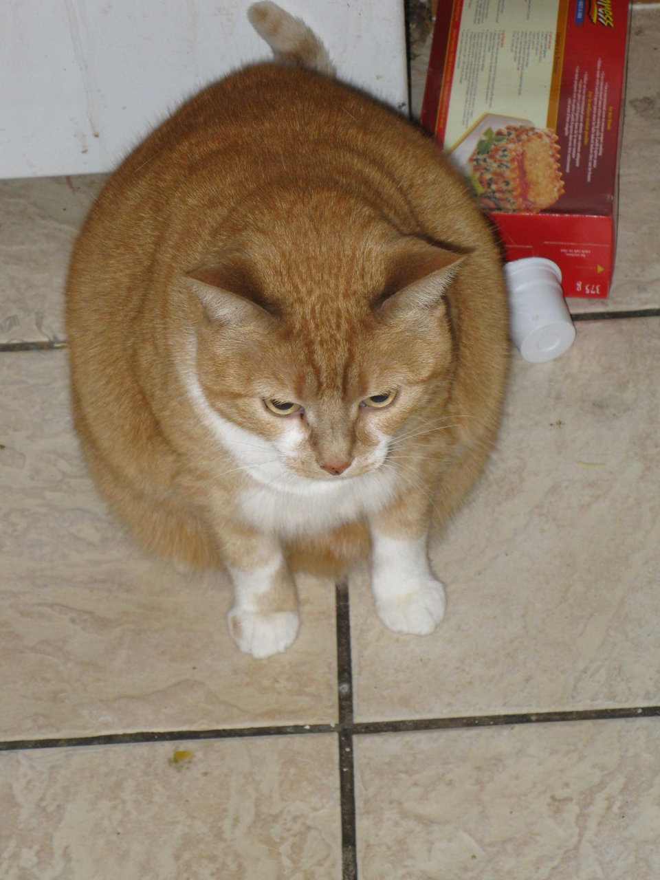 Marmelo